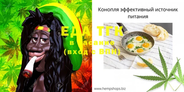 мет Галич