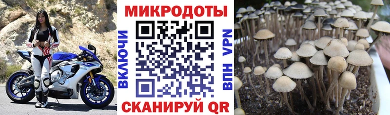 Псилоцибиновые грибы Magic Shrooms  как найти закладки  Барыш 